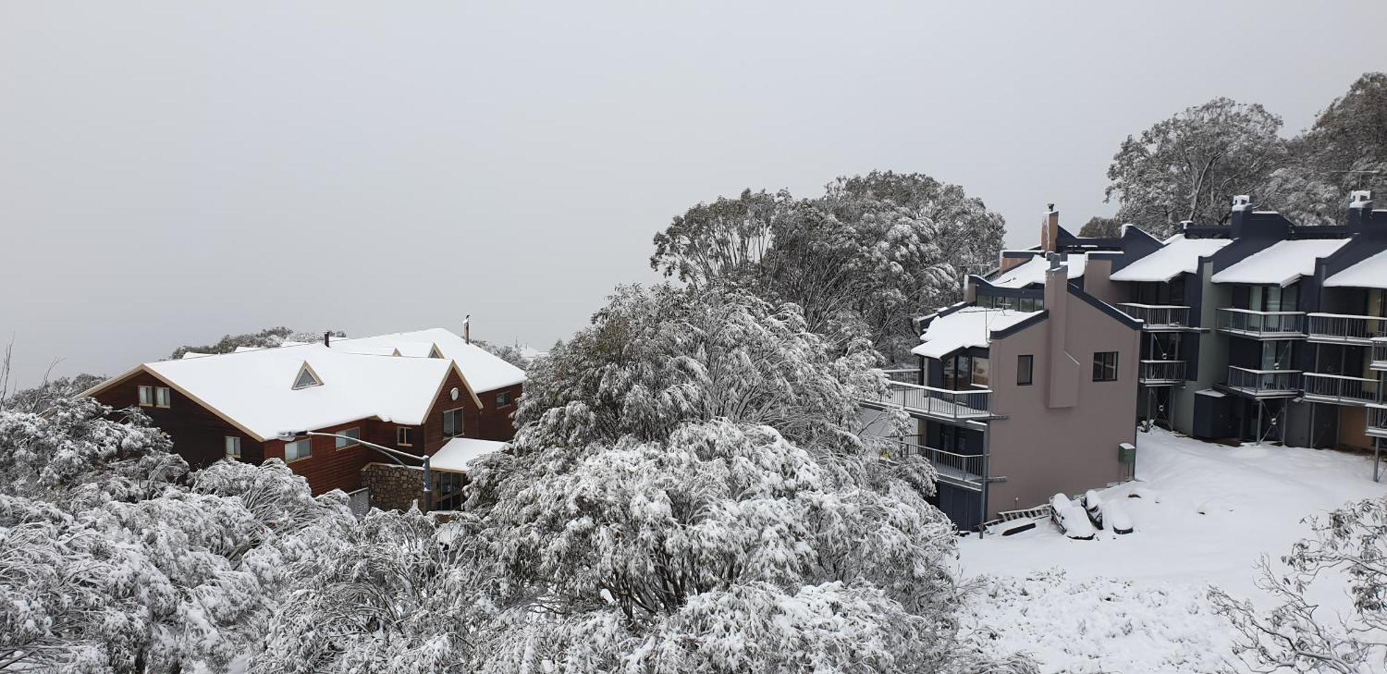 Cedarwood Apartments Falls Creek Bagian luar foto